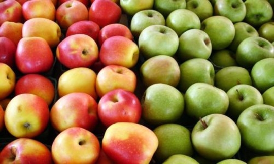 Румыния ищет хранилища для фруктов из Молдовы