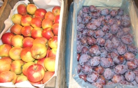 Производители яблок и слив получили компенсации