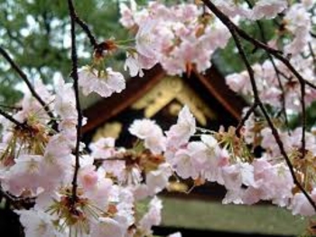 Синоптики обещают  +23 градусов на Пасху