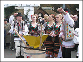 Виноделы разочарованы, что парламент не принял закон о создании Национального агентства винограда и вина