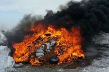 На Алтае сожгли более 20 тонн грецких орехов из Калифорнии