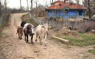 Опрос политиков и экспертов. Станут ли регионы локомотивами социально-экономического развития Молдовы?