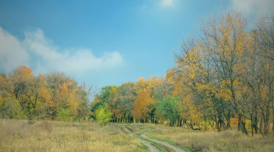 Михаил Формузал про технологии нужной победы любой ценой