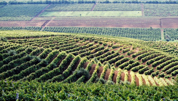 Фермеры могут уже получать займы из польского кредита