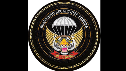 Путин отметил две бригады и полк «за участие в боевых действиях»