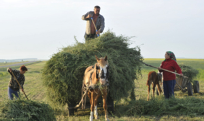 Фермеры взбунтовались против МВФ