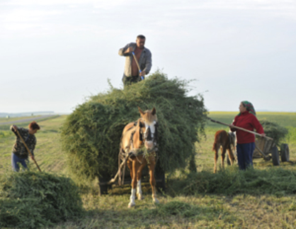 Фермеры взбунтовались против МВФ
