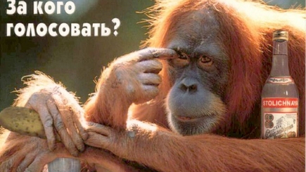 Выборы-2012 в Украине: тупой, еще тупей...