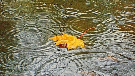 Молдову ждут дожди