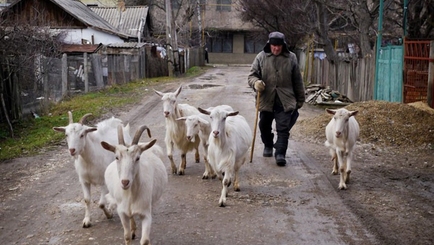 Приднестровье хочет особый статус в ООН: появилась реакция Киева