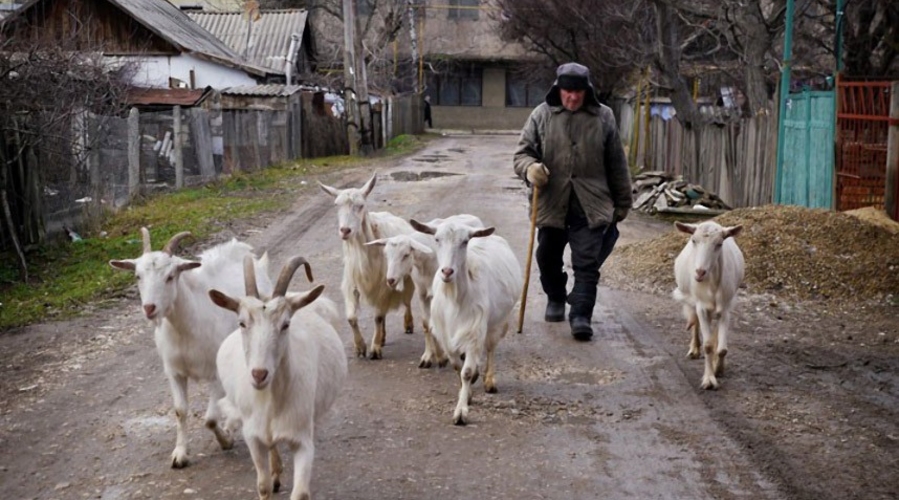 Приднестровье хочет особый статус в ООН: появилась реакция Киева