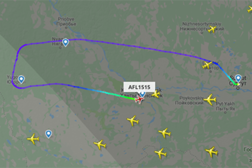 Появились подробности захвата российского авиалайнера