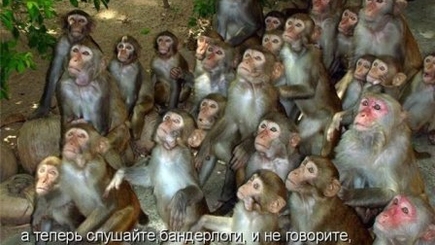Памятка  избирателю. Конфиденциально. После прочтения сжечь