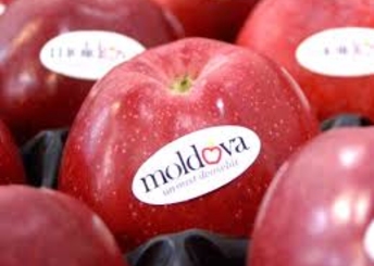 Бангладеш заинтересован в импорте молдавских яблок