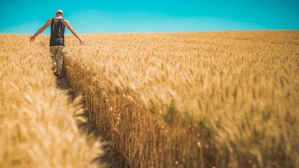 Инвестиционный проект для молдавских аграриев