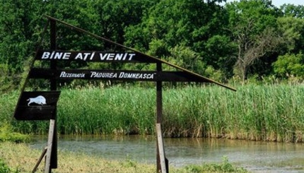 Экомаршрут Pădurea Domnească может стать привлекательным для туристов