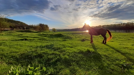 КОНСТИТУЦИЯ НИЧТО, НЕЗАВИСИМОСТЬ - ВСЁ!