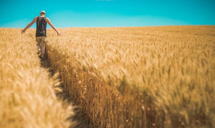 Инвестиционный проект для молдавских аграриев