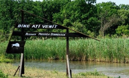 Экомаршрут Pădurea Domnească может стать привлекательным для туристов