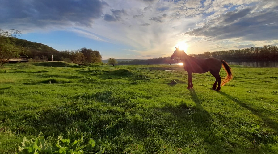 КОНСТИТУЦИЯ НИЧТО, НЕЗАВИСИМОСТЬ - ВСЁ!