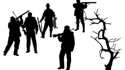 Чем дальше в лес,тем больше лжи