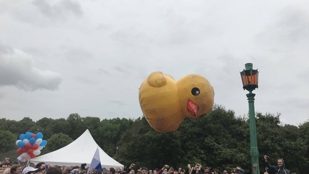 Будут ли в России задерживать желтых уточек?