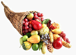 Гагаузия созидает. В Конгазе построен новый холодильный комплекс для хранения плодоовощной продукции