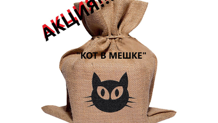 На продажу выставят «котов в мешке». И плевать им на глас народа.