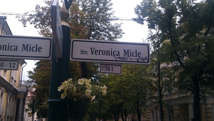 Кишиневский указатель улиц европейского типа подвергся атаке вандалов