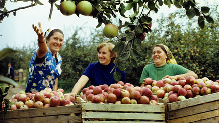 Сельское хозяйство Молдовы развивается благодаря проекту Всемирного банка