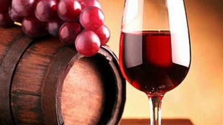 Канада будет импортировать из РМ вино, фрукты и овощи