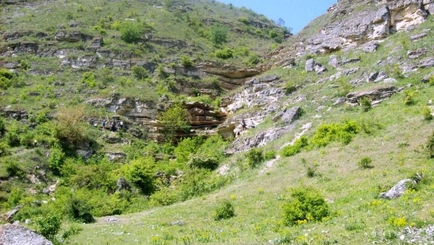 ЕС: помощь в восстановлении истощённых пастбища оргеевского Нацпарка