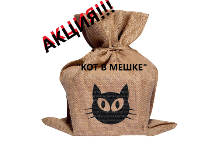На продажу выставят «котов в мешке». И плевать им на глас народа.