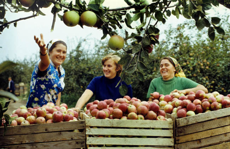 Сельское хозяйство Молдовы развивается благодаря проекту Всемирного банка