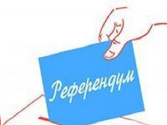 Референдум о сокращении числа депутатов состоится 24 февраля 2019