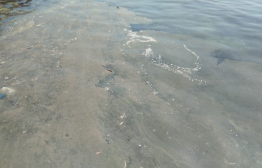 По Днестру плывет г*но