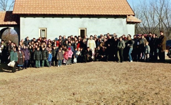 Румыны зарубежья в печали: правительство Виктора Понта сократило   на 30% финансирование программ для них