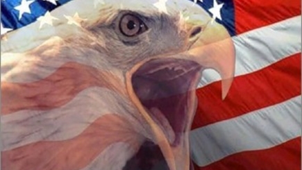 Хозяин недоволен