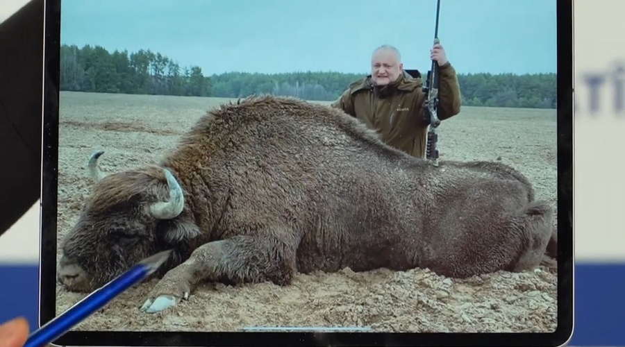 Додон с мертвым зубром: у кого упадет рейтинг?