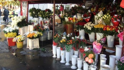 Накануне Дня знаний продавцов цветов ждут строгие проверки