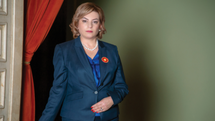 Дурлештяну о политическом кризисе: “На досрочные выборы, это понятно всем”