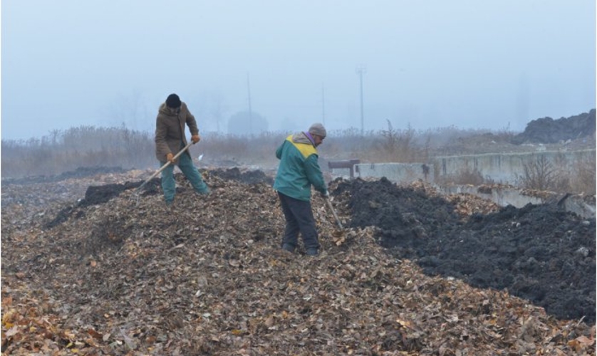 В столице открылся первый полигон для хранения и переработки растительных отходов