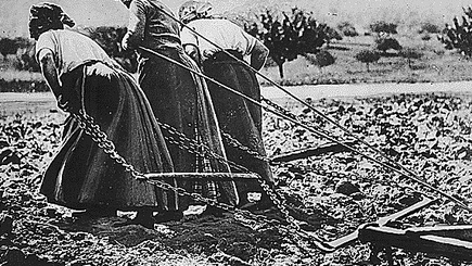 Василий Бумаков: «Плуг – это враг молдавского сельского хозяйства»