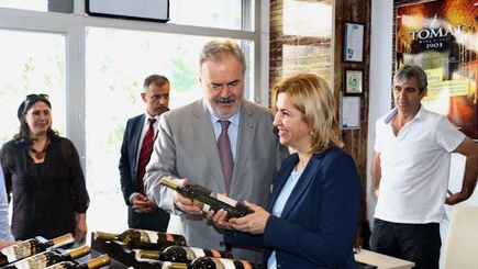 Ирина Влах совершает визит в Турцию