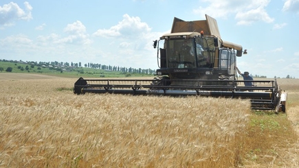 Ожидается, что в этом году урожай зерновых составит около 1 млн. тонн