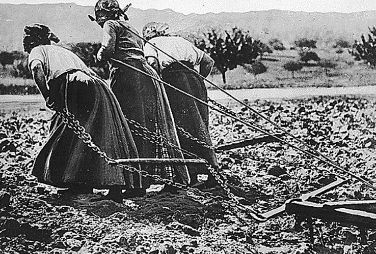 Василий Бумаков: «Плуг – это враг молдавского сельского хозяйства»