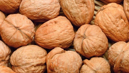 ЕС: рост спроса на молдавские орехи