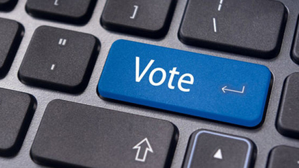 Система онлайн-голосования даст избирателям больше гибкости