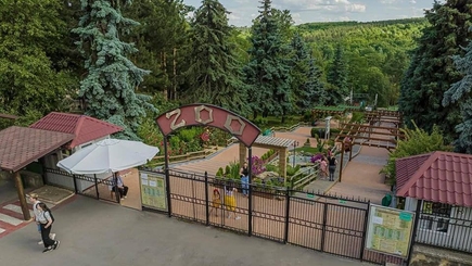 9 августа отмечают Международный день зоопарков.