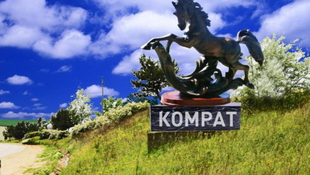 У въeзда в Kомрат устaновят памятник чёрной лошади